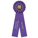 4" Ideal 2 Rosette Award Ribbon