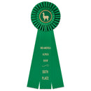 5" Shannon 3 Rosette Award Ribbon