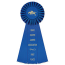 4-1/2" Newport 3 Rosette Award Ribbon