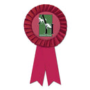 3" Prize Custom Rosette Award Ribbon