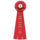 6-1/2" Wellfleet 3 Rosette Award Ribbon